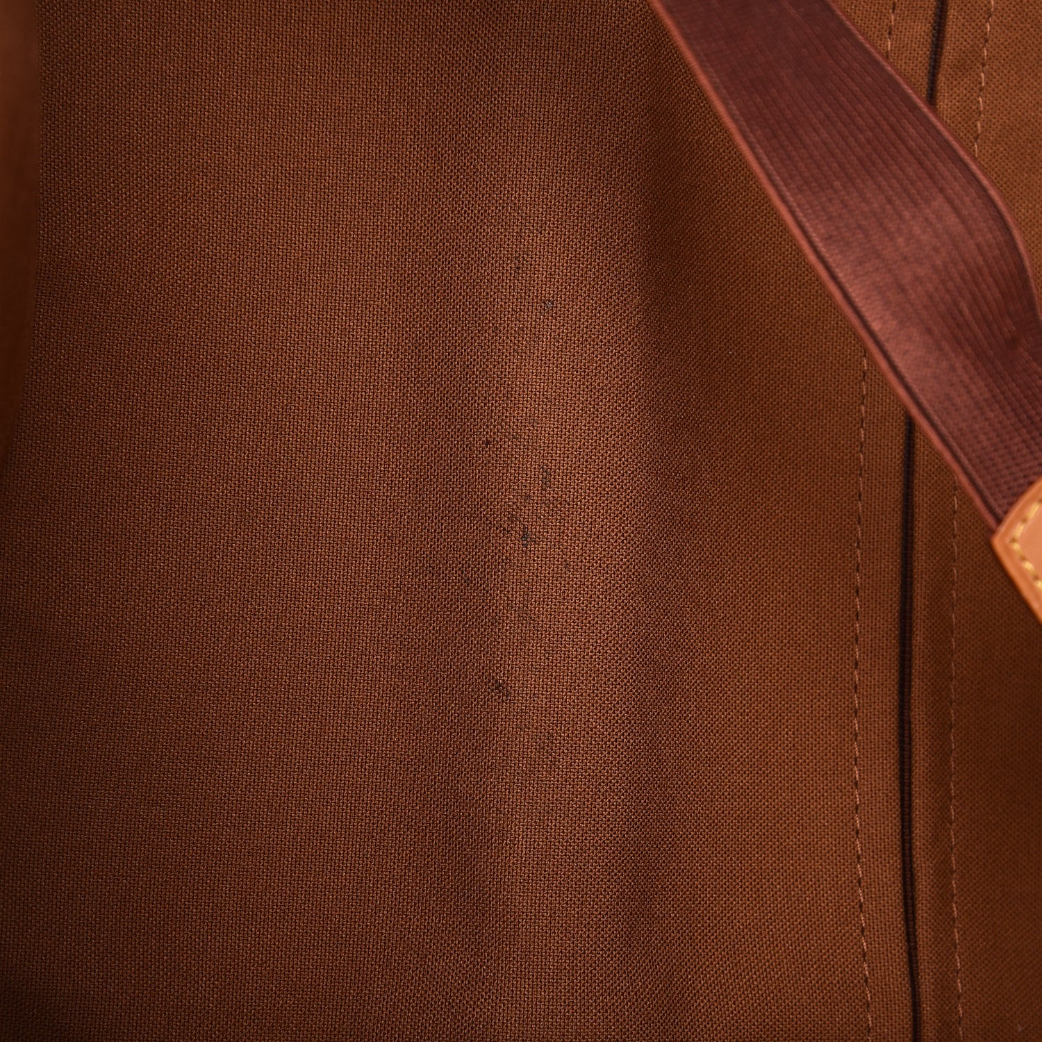 Louis Vuitton Monogram Pegase 55 16 of 19