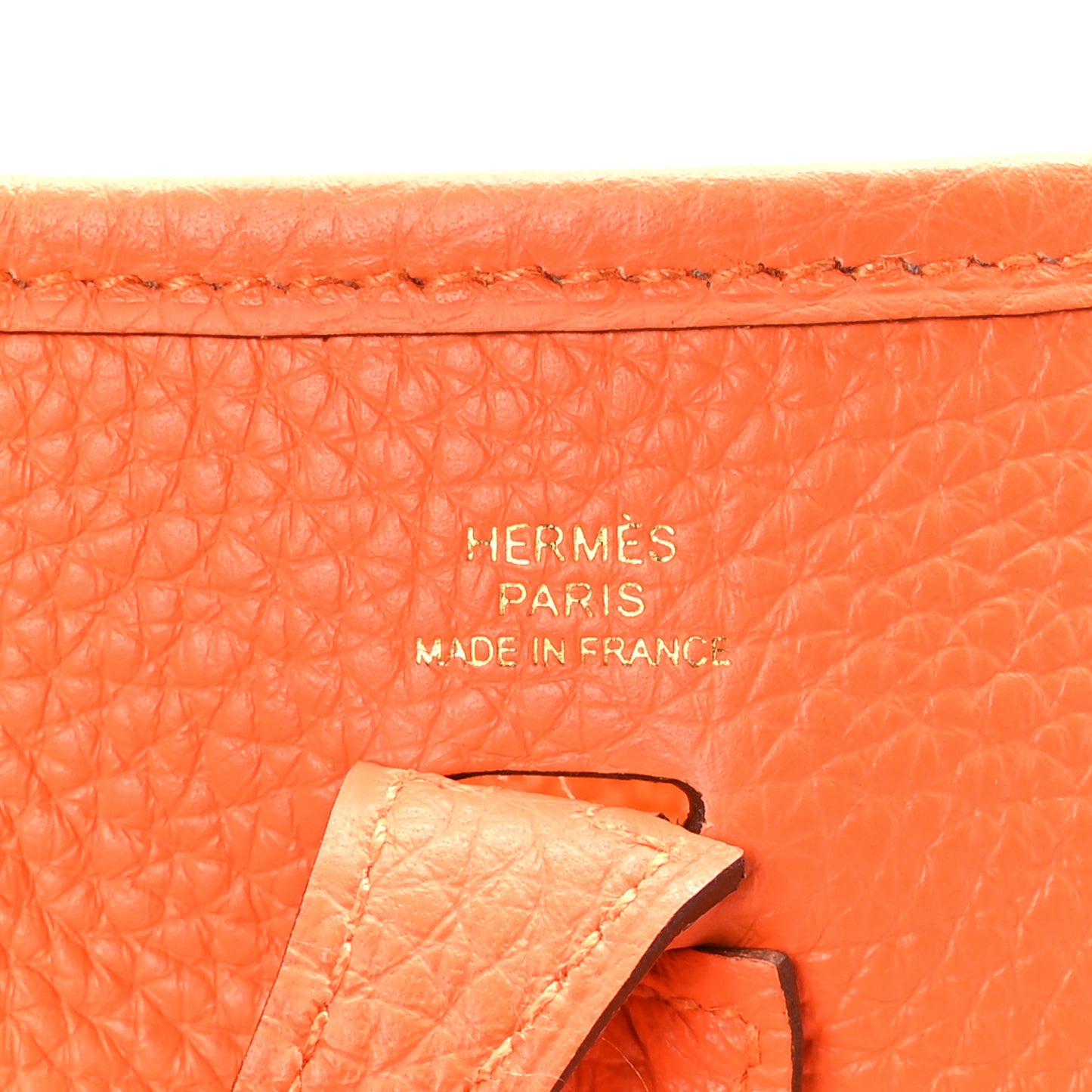Taurillon Clemence Evelyne TPM Orange
