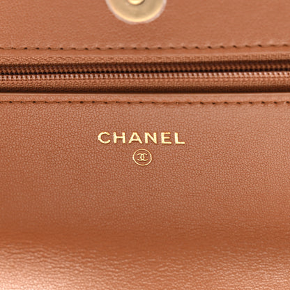Chanel Lambskin Quilted Chanel 19 Wallet On Chain WOC Brown 6 of 11