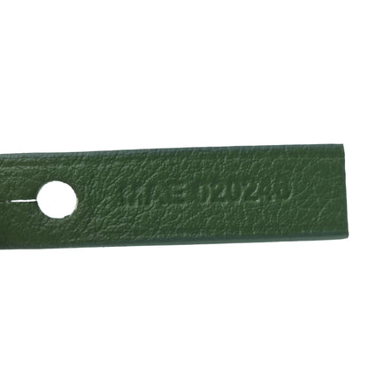 Goyard Goyardine Saint Louis PM Green 8 of 12