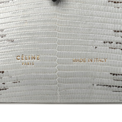 Celine Lizard Calfskin Large Multifunction Strap Wallet Natural 6 of 10