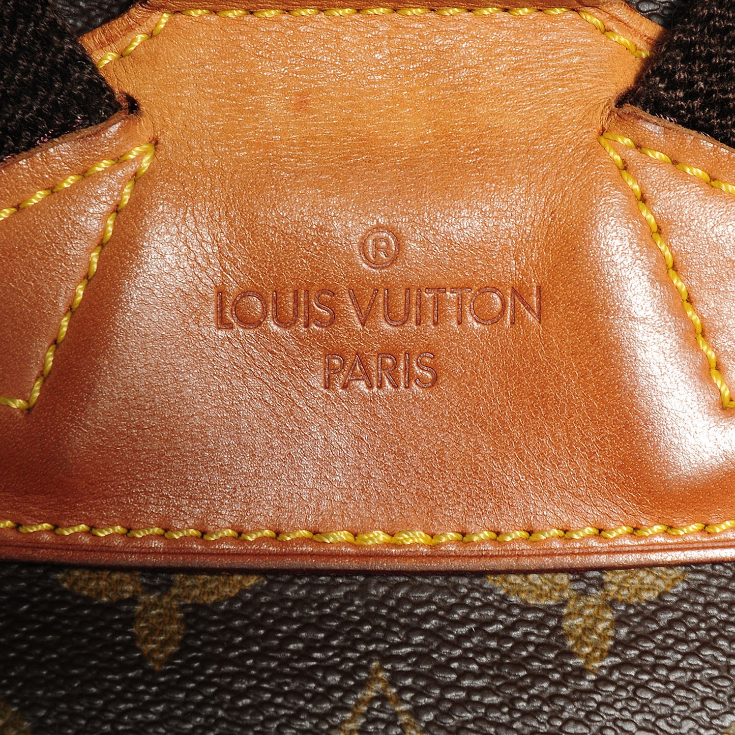 Monogram Montsouris GM Backpack