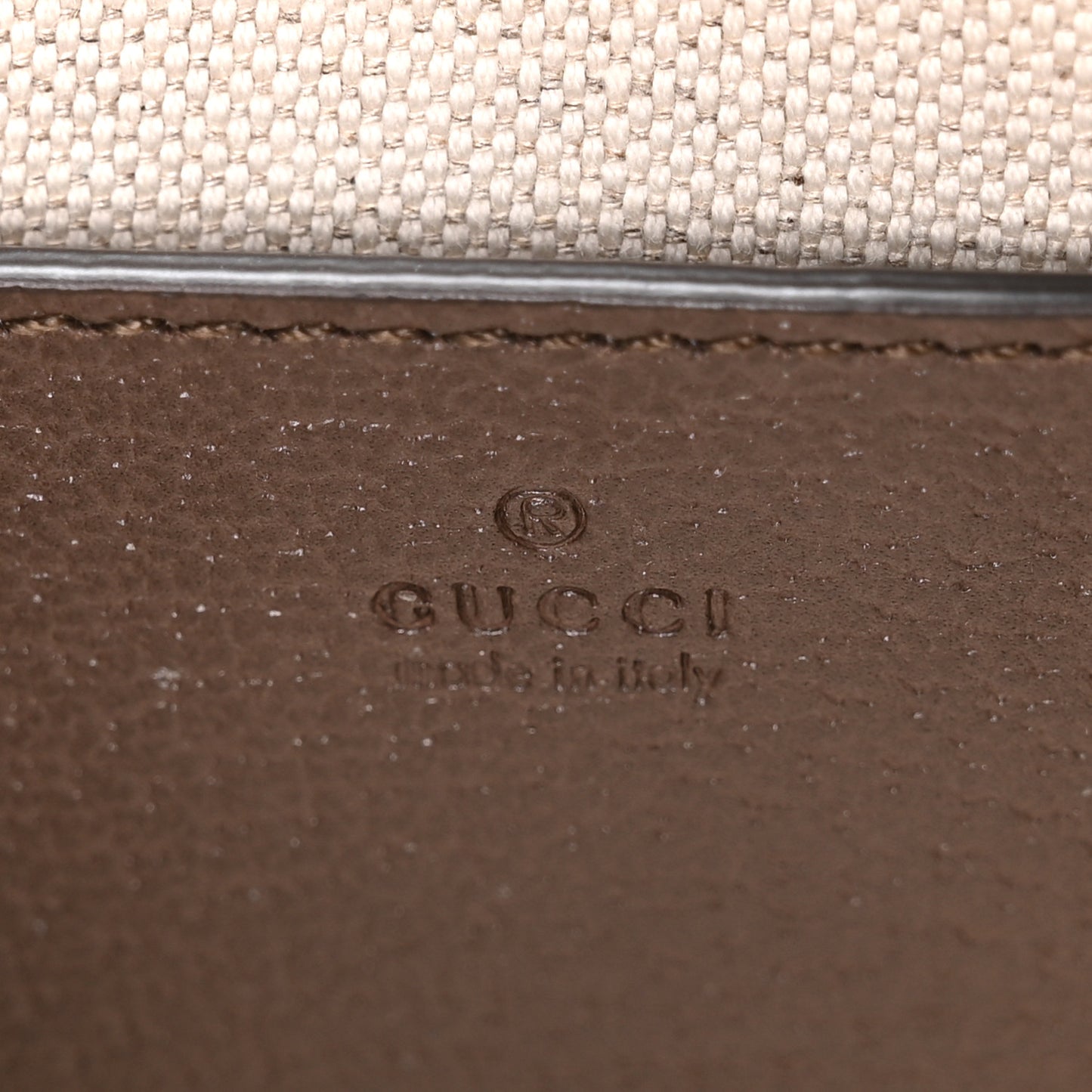 GG Supreme Monogram Textured Dollar Calfskin Mini Ophidia Chain Bag Beige Ebony