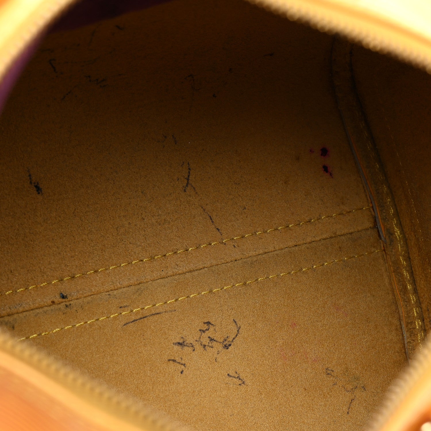 Louis Vuitton Epi Speedy 25 Tassil 10 of 19