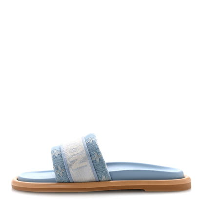 Louis Vuitton Monogram Denim LV Bliss Womens Comfort Mules 41 Turquoise 1 of 10