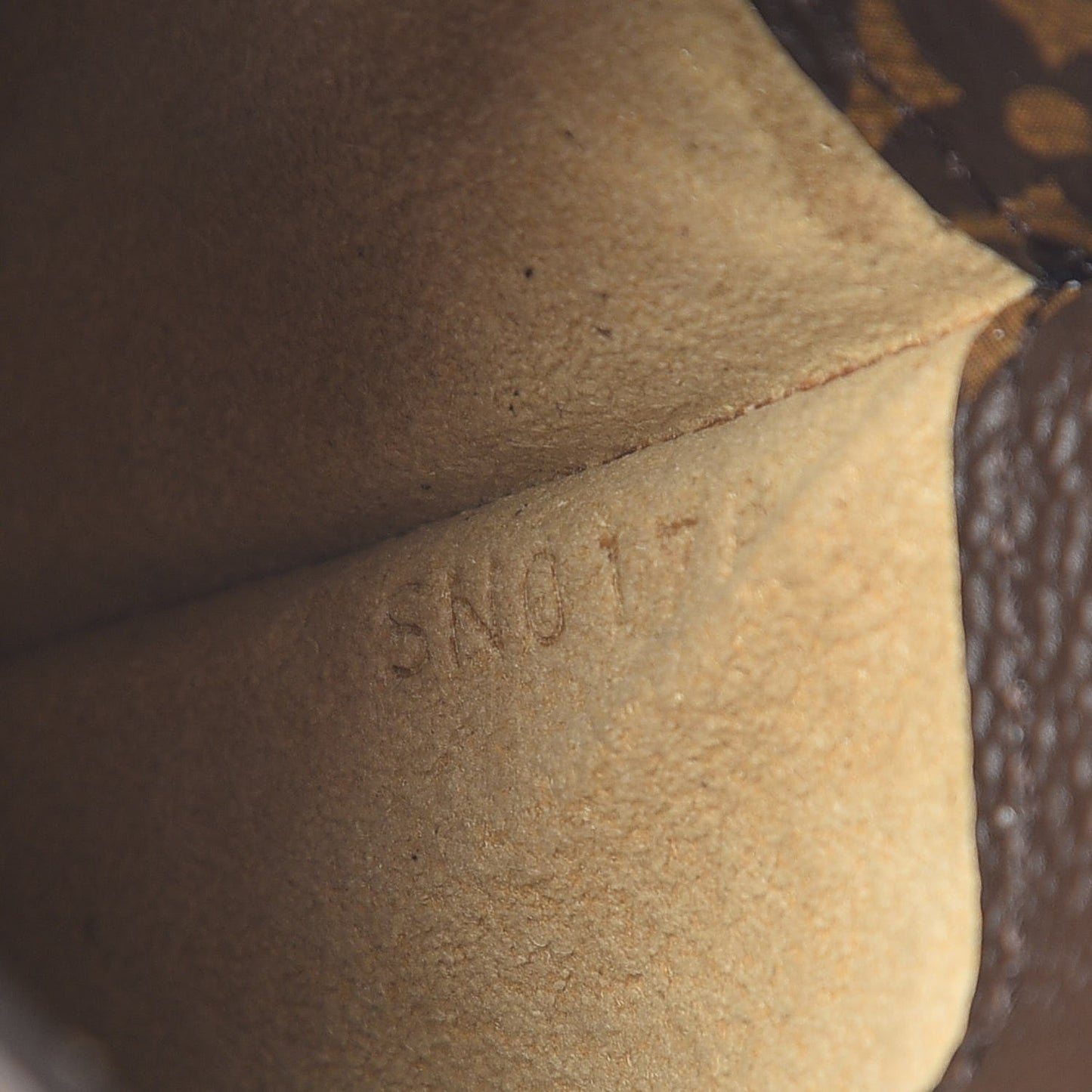 Monogram Sunglasses Case MM