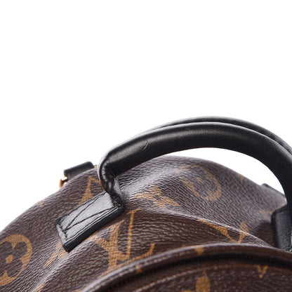 Louis Vuitton Monogram My World Tour Palm Springs Backpack Mini 12 of 13