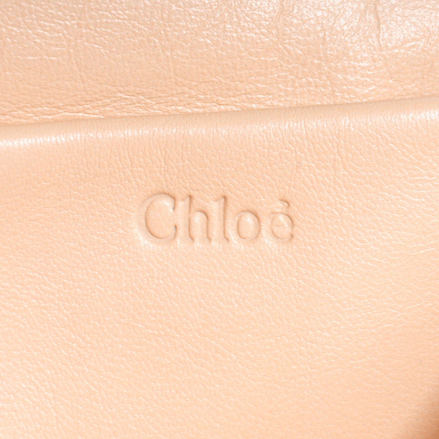 Chloe Calfskin Large Elsie Shoulder Bag Blush 8 of 9