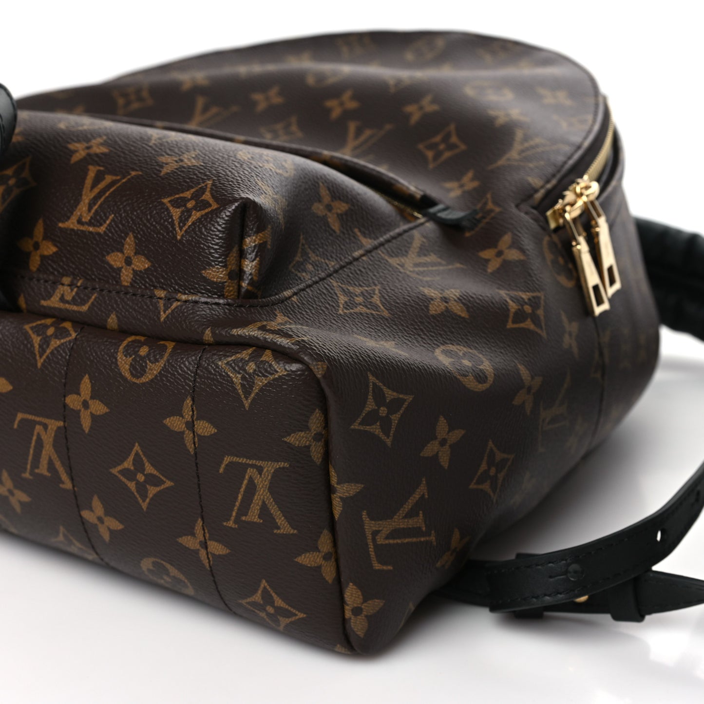 Monogram Palm Springs Backpack MM