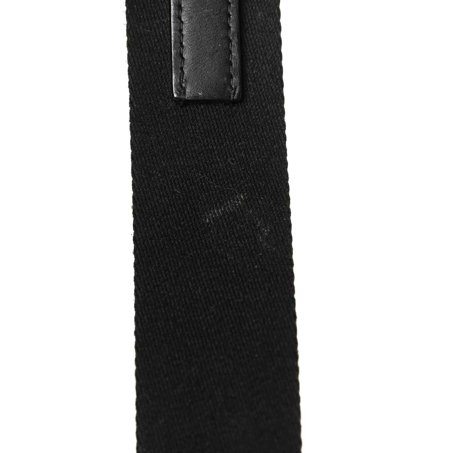 Goyardine Calfskin Alpin MM Backpack Black
