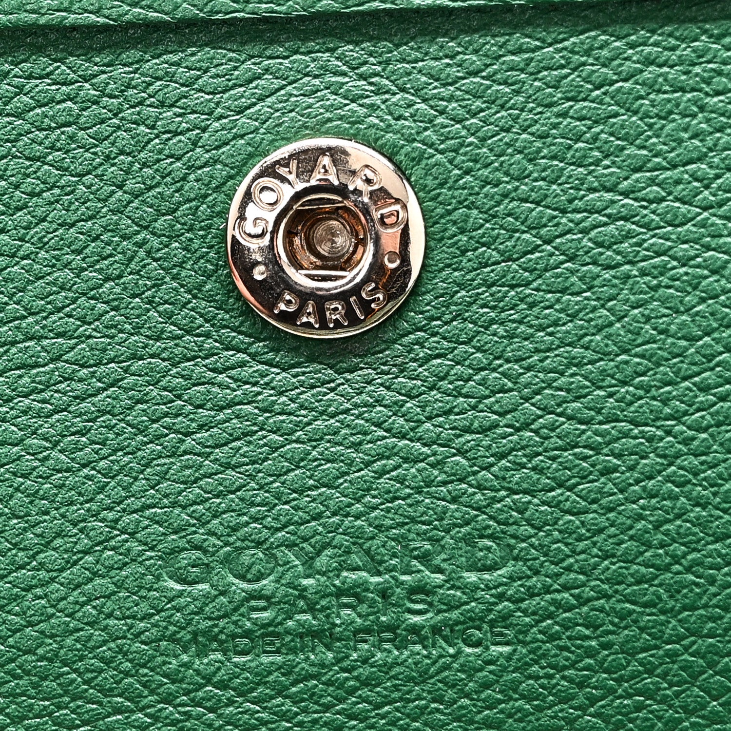 Goyard Goyardine Saint Louis PM Green 7 of 11