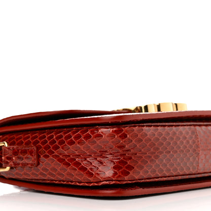 Celine Watersnake Teen Triomphe Ruby 11 of 15