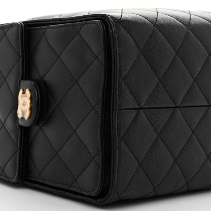 Chanel Caviar Quilted Medium Chanel 25 Handbag Black 14 of 16