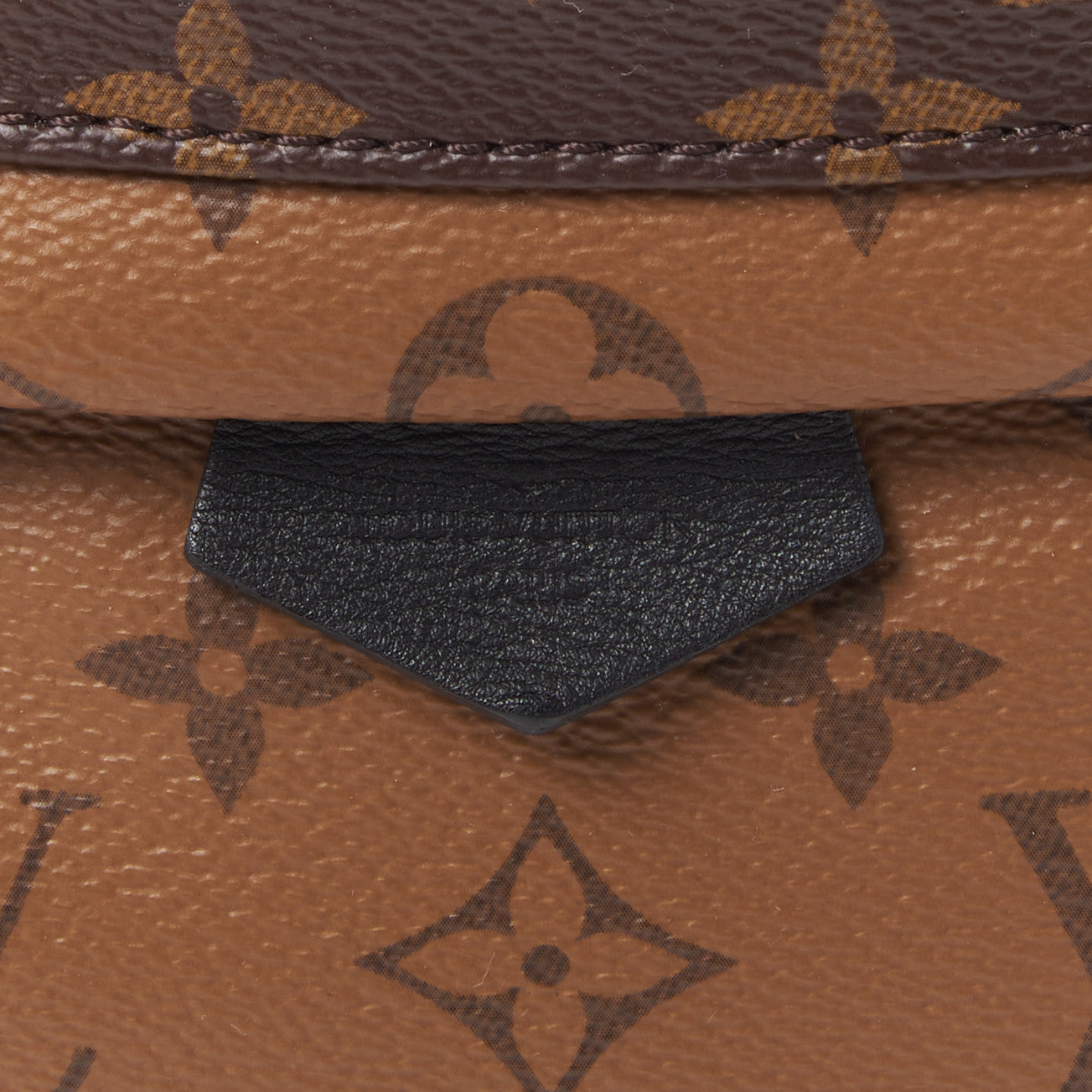 Louis Vuitton Reverse Monogram Palm Springs Backpack PM 8 of 9