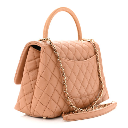 Chanel Caviar Quilted Lizard Embossed Small Coco Handle Flap Brown 3 of 10
