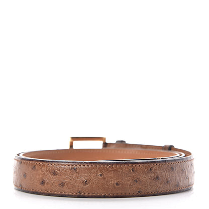 Hermes Ostrich 24mm Belt 95 Gold 3 of 8