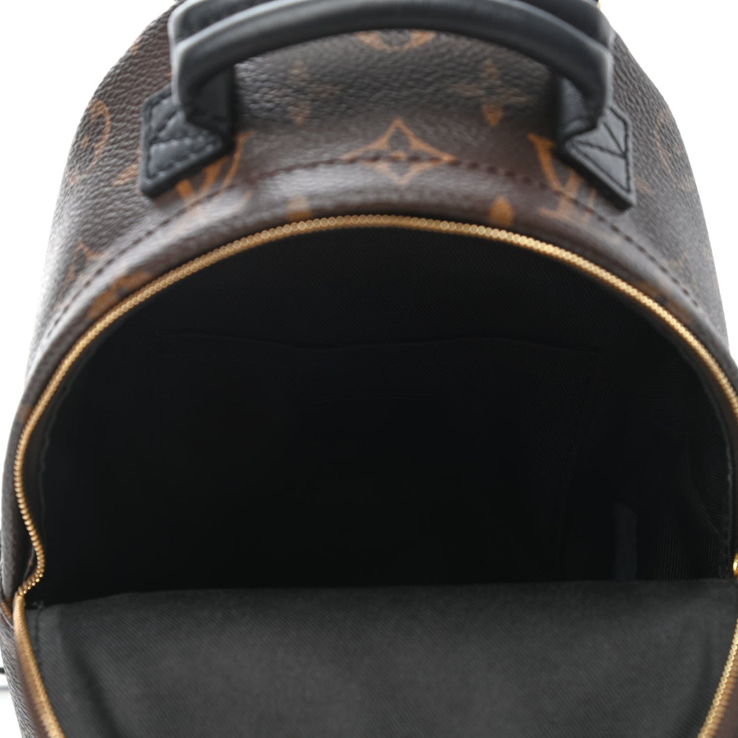 Monogram Palm Springs Backpack Mini