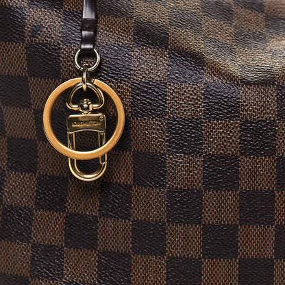 Louis Vuitton Damier Ebene Delightful PM 8 of 17