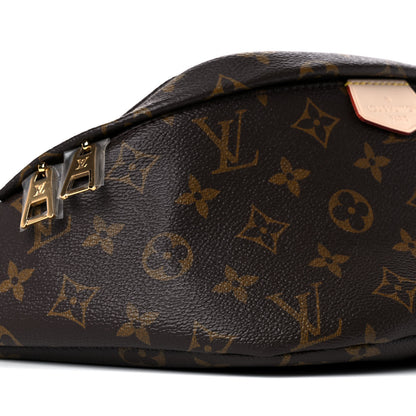 Louis Vuitton Monogram Bumbag 7 of 11