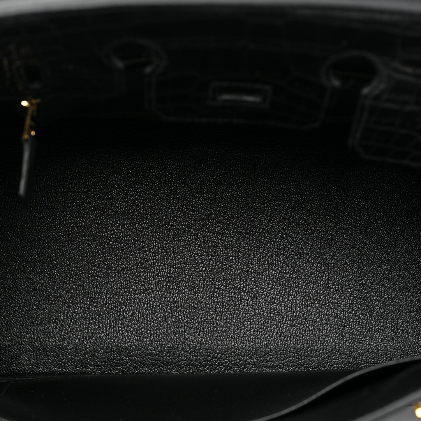 Togo Matte Alligator Birkin Touch 25 Black
