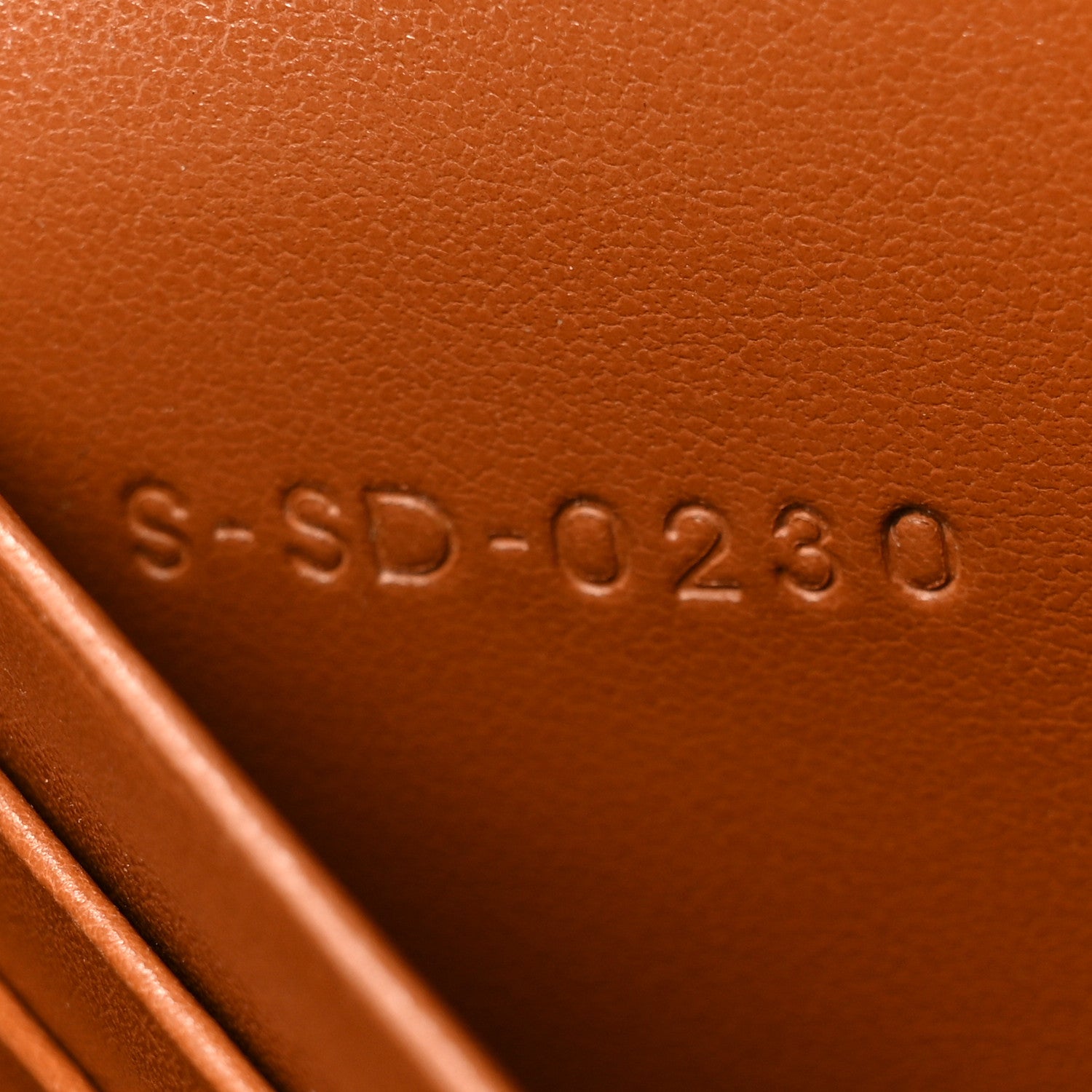 Celine Triomphe Canvas Lambskin Wallet On Strap Tan 8 of 14