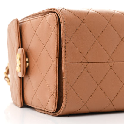Chanel Caviar Quilted Small Chanel 25 Handbag Brown 9 of 11