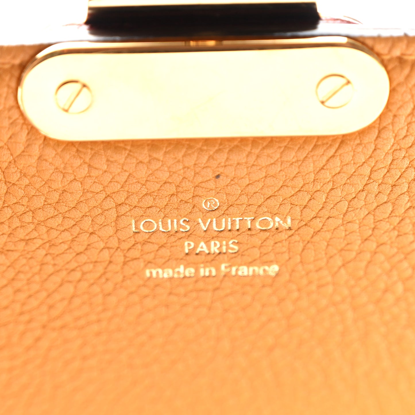 Monogram Eden PM Safran