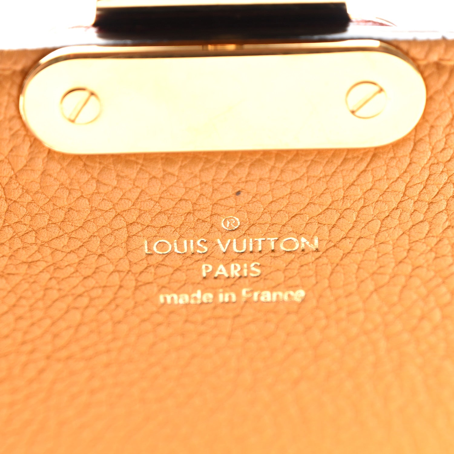 Louis Vuitton Monogram Eden PM Safran 6 of 12
