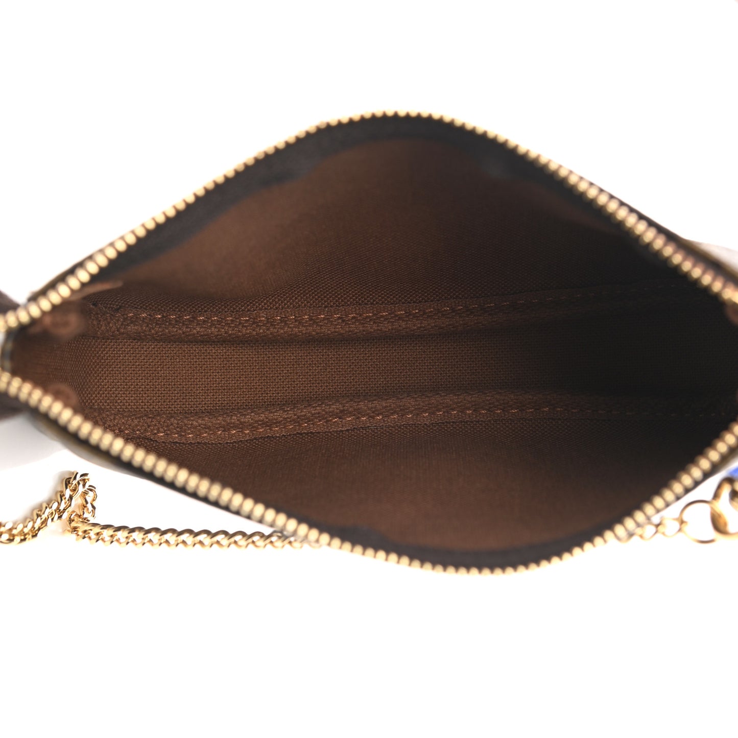 Monogram Mini Pochette Accessories