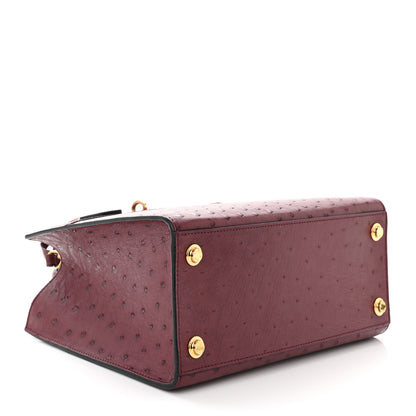 Louis Vuitton Ostrich City Steamer PM Prune 4 of 9