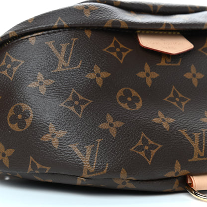 Louis Vuitton Monogram Bumbag 6 of 8