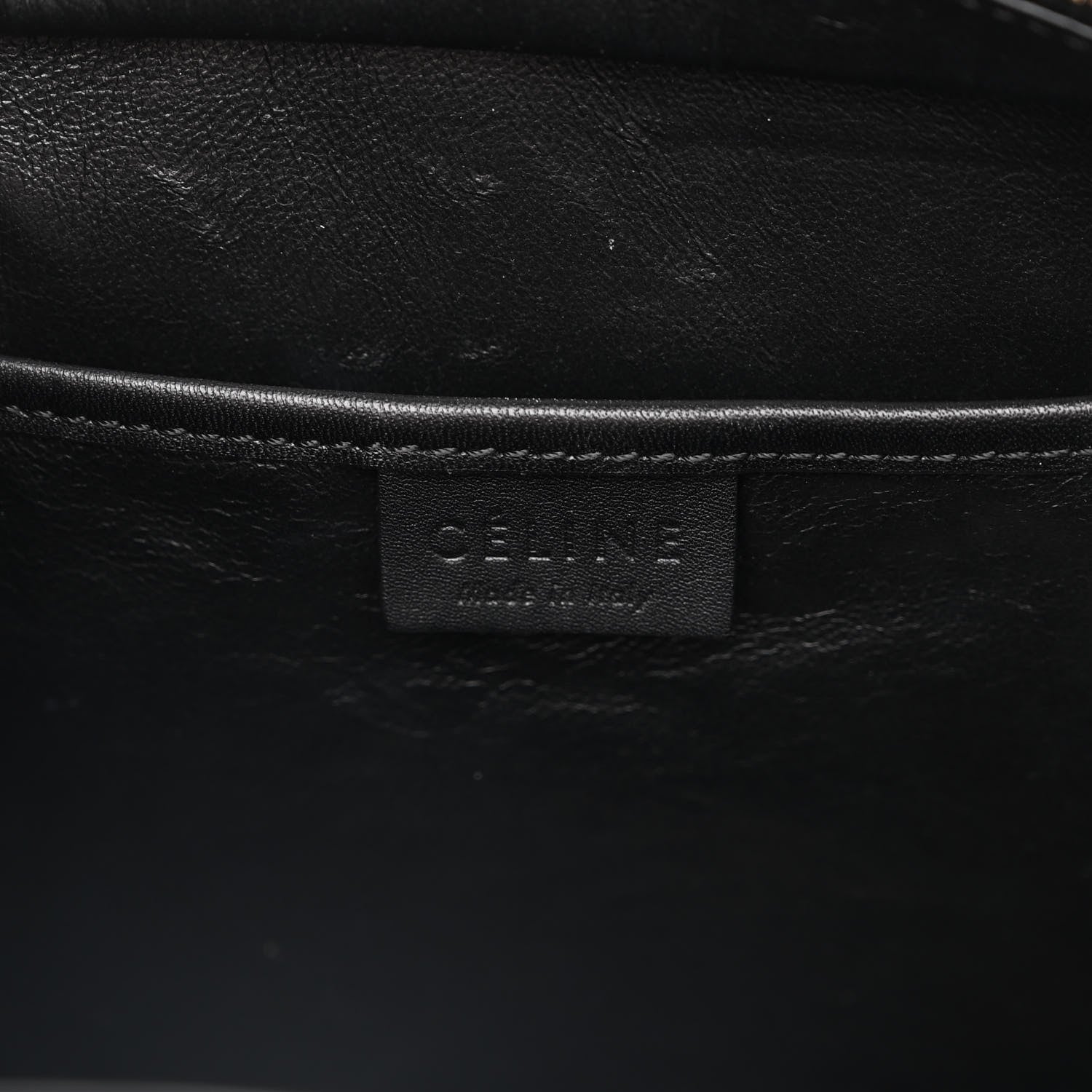 Celine Lizard Smooth Calfskin Nano Tri-Color Luggage Mineral 6 of 14