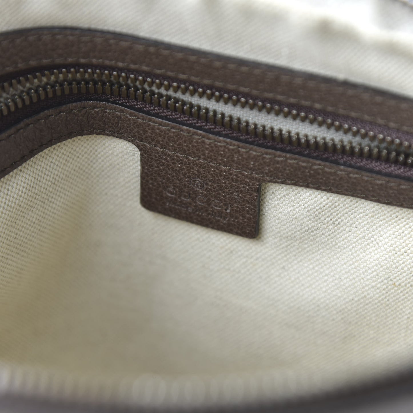 GG Supreme Monogram Web Small Ophidia Messenger Bag Brown