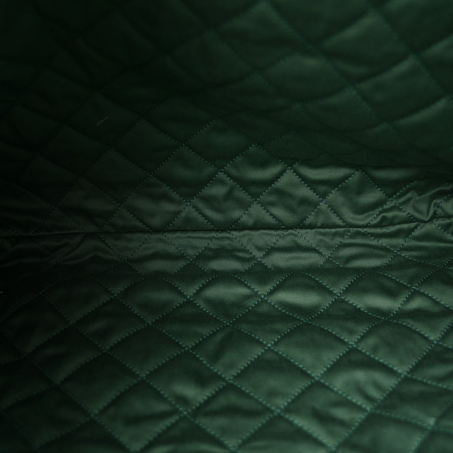 Shiny Calfskin Quilted Chanel 22 Light Green
