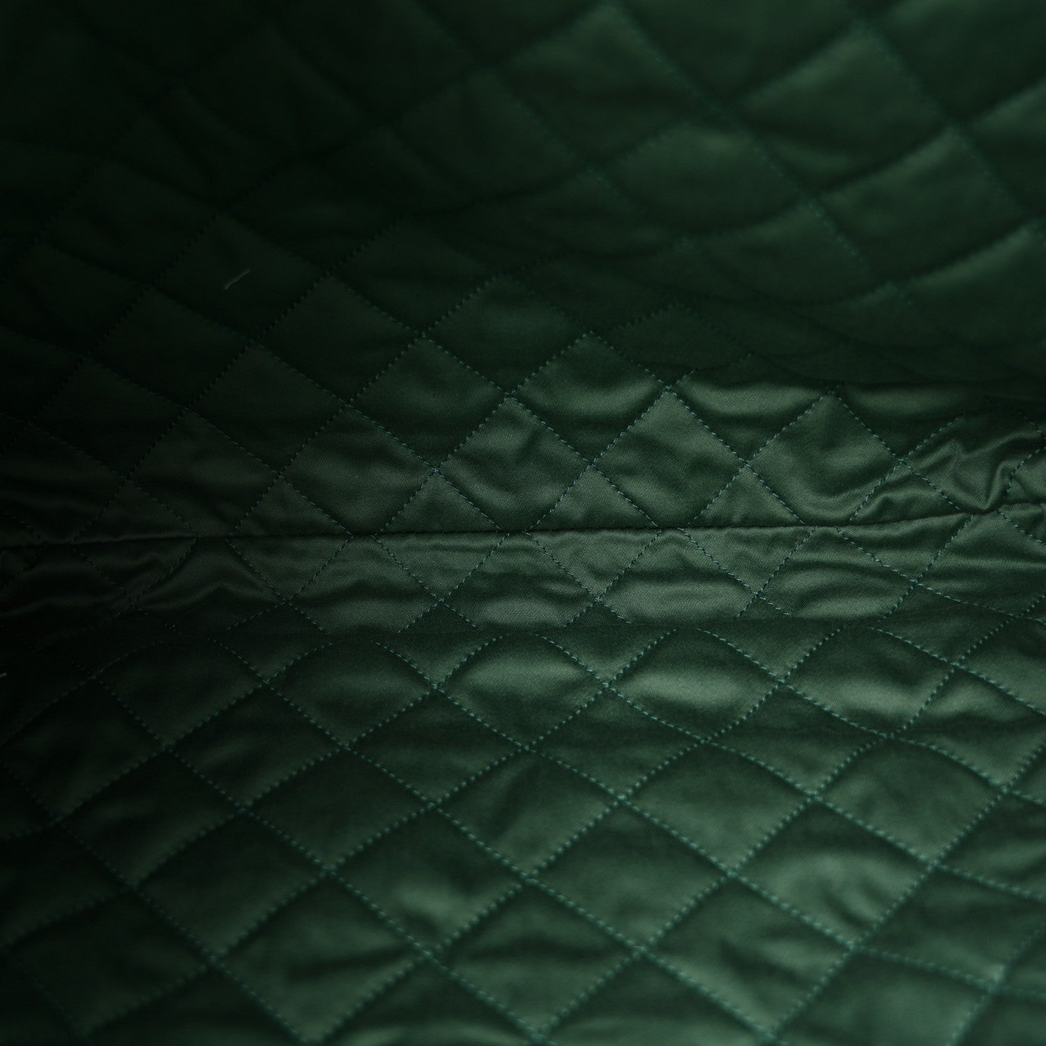 Chanel Shiny Calfskin Quilted Chanel 22 Light Green 6 of 11