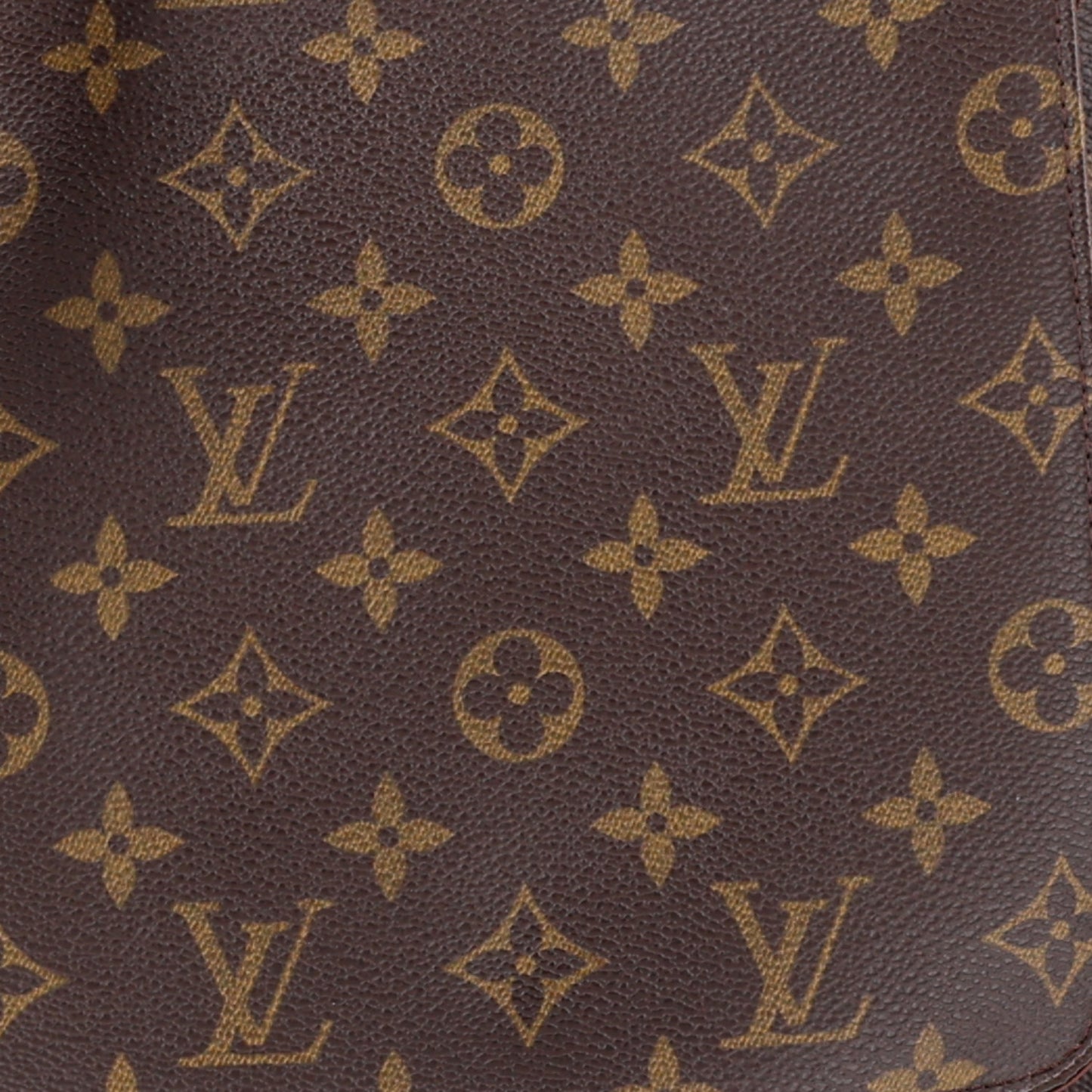 Monogram Musette Salsa