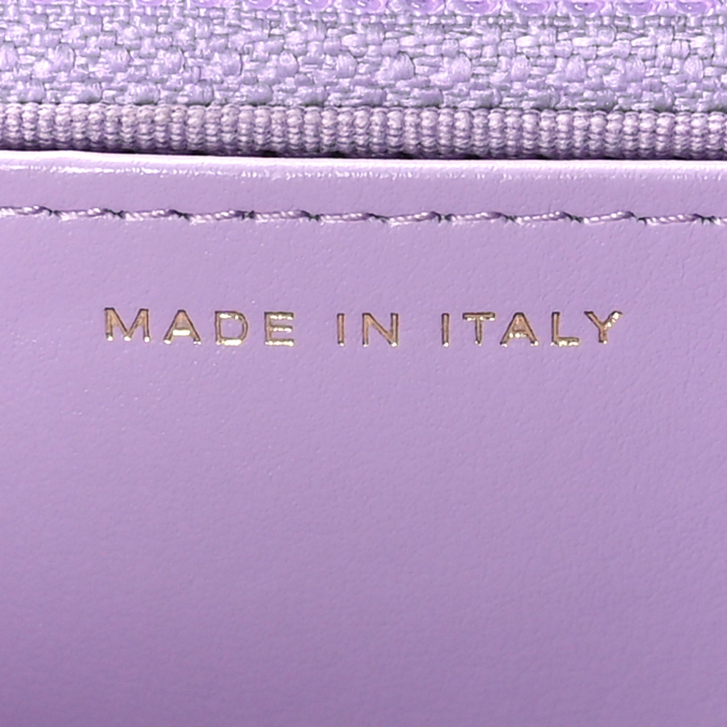 Lambskin Quilted Chanel 19 Wallet On Chain WOC Light Purple