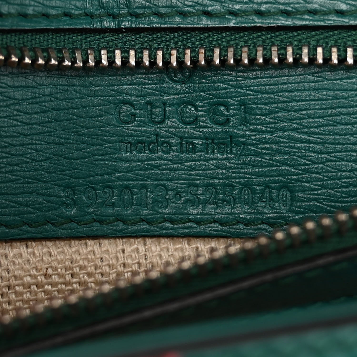 Gucci Shangai Calfskin Blooms Print Medium Bamboo Daily Top Handle Bag Clear Bright Emerald Multicolor 6 of 19