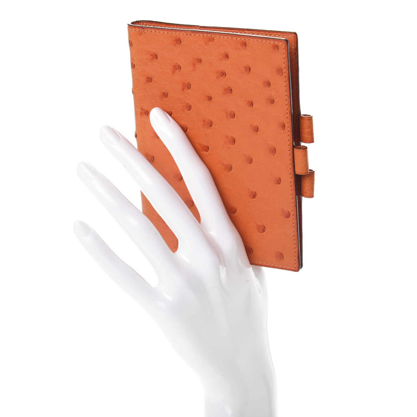 Ostrich Vision Agenda Cover PM Orange