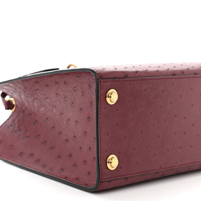 Louis Vuitton Ostrich City Steamer PM Prune 8 of 9