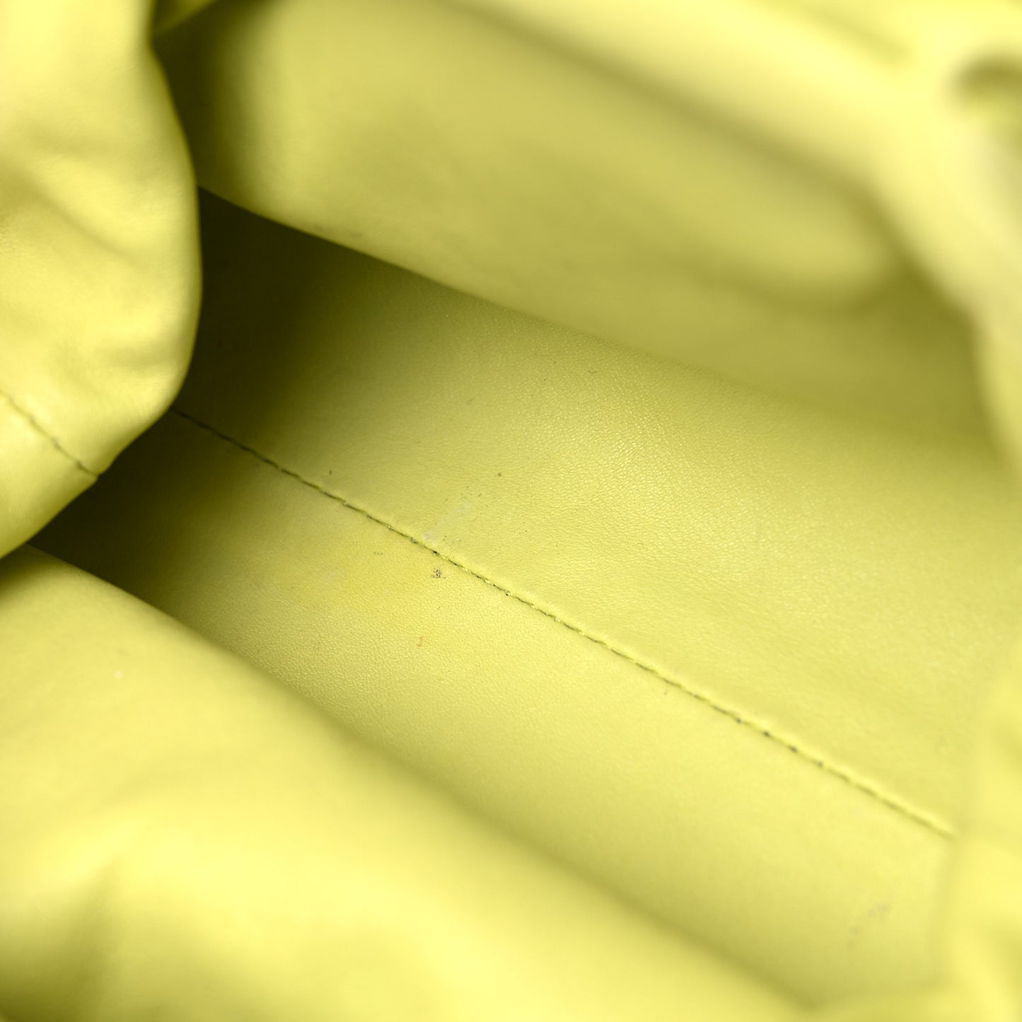 Butter Calfskin The Mini Pouch Kiwi