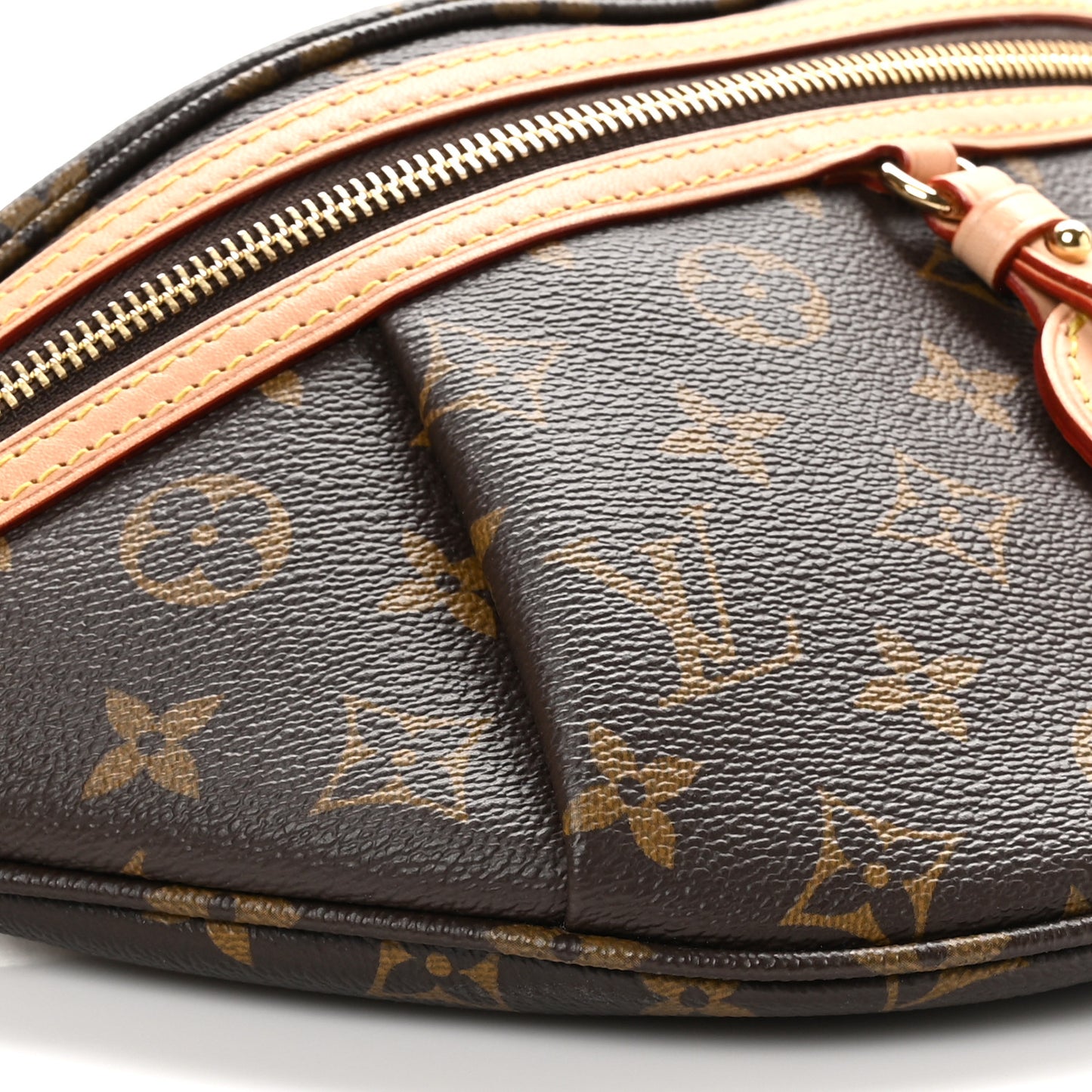 Monogram High Rise Bumbag