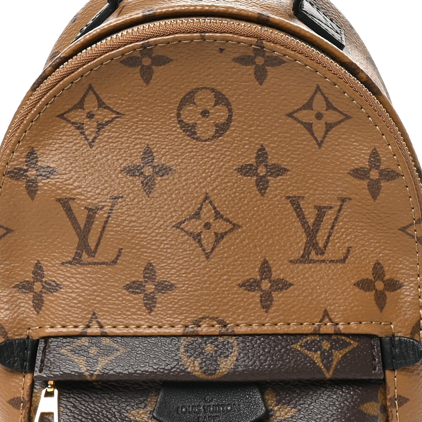 Reverse Monogram Palm Springs Backpack Mini