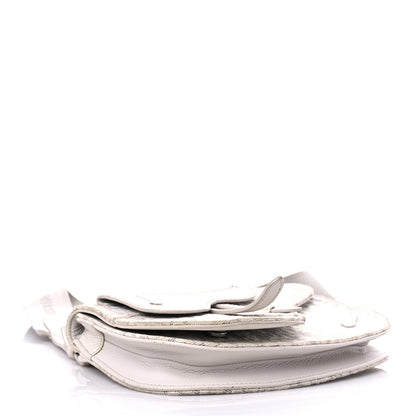 Christian Dior Oblique Saddle Messenger Pouch Beige 4 of 24