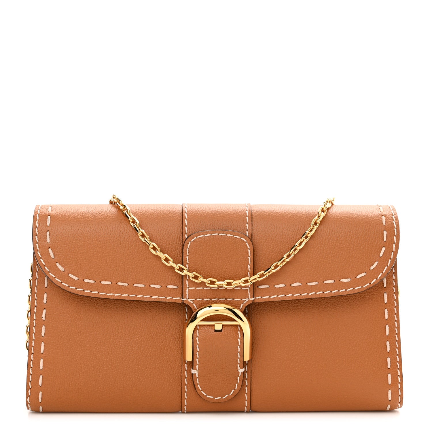 Delvaux Rodeo Calfskin Surpique Brillant Wallet on Chain Vegetal 1 of 9