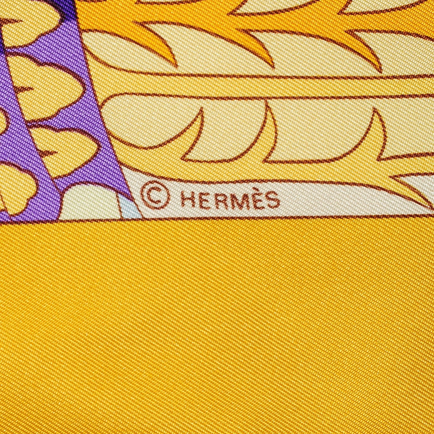 Hermes Silk Splendeur Des Maharajas II Scarf 90 5 of 6