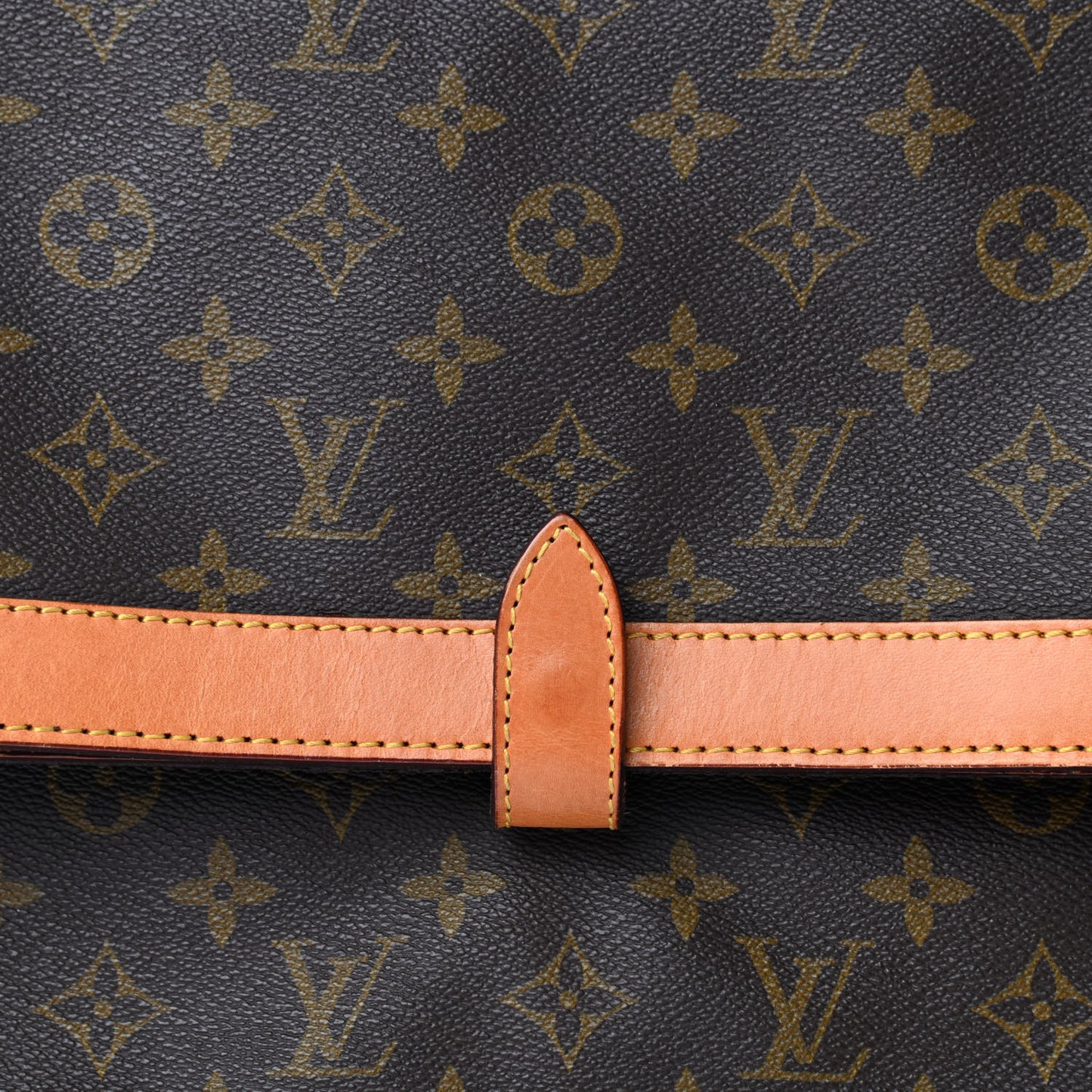 Monogram Poche Clutch
