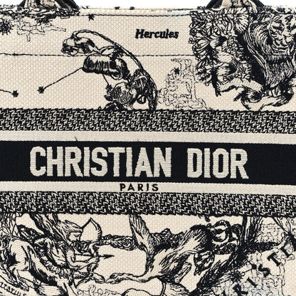Christian Dior Canvas Embroidered Small Zodiac Toile De Jouy Book Tote Latte 8 of 11