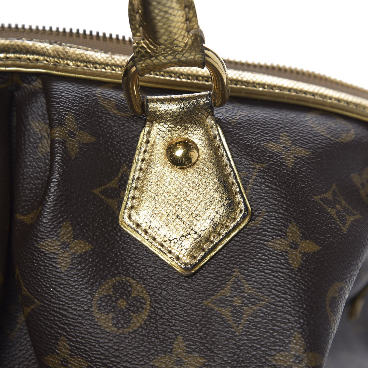 Monogram Leopard Stephen Bag