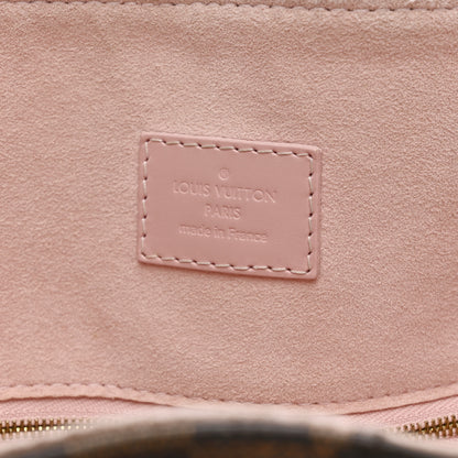Louis Vuitton Damier Ebene Caissa Hobo Rose Ballerine 6 of 16
